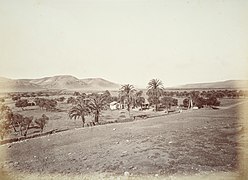 17. Dates and olives from the Mission San Diego.jpg