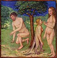 Adam et Eve, enluminure du XVe siècle