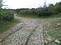 La via Domitia nei pressi di Ambrussum.