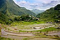 Batad Rice Terraces