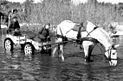 Pferd mit zwei Soldaten beim Trinken im Fluss
