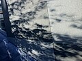美国加利福尼亚州旧金山的日偏食，透過树叶陰影小孔成像