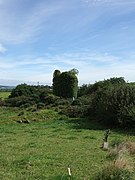 Derryleamleary Castle - geograph.org.uk - 537647.jpg