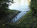 Mündung an der Main-Neckar-Brücke