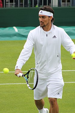 Fabio Fognini dublu masculin