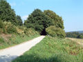 Hohlweg im Stadtteil Ende