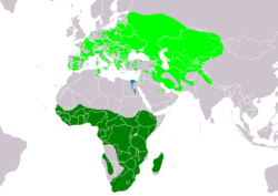 Distribución de Ixobrychus minutus