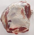 A shoulder cut of a lamb