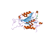 2cnn: CRYSTAL STRUCTURES OF CASPASE-3 IN COMPLEX WITH AZA-PEPTIDE EPOXIDE INHIBITORS.