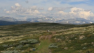 Pilgrims' trail at Dovre plateau