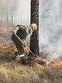 APFM protégeant un arbre en brûlage dirigé en Forêt Domaniale de Morières-Montrieux en 2006.