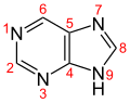 Deutsch: Struktur von Purin English: Structure of purine