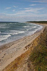 Shoreline with narrow rocky beach and then scrub vegetation