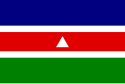 ジュイス・デ・フォーラの市旗