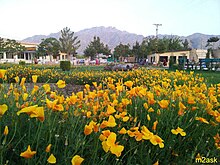 Barki Park