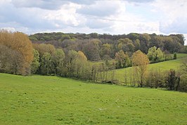 Beiaardbos, Fonteinbos en Ingelbos