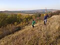 Pflegemaßnahmen des Naturschutzbund NÖ zur Erhaltung der Trockenrasen.