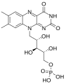 Struttura del flavin mononucleotide (FMN)