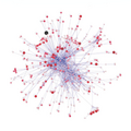 Image 90A food web is network of food chains, and as such can be represented graphically and analysed using techniques from network theory. (from Marine food web)