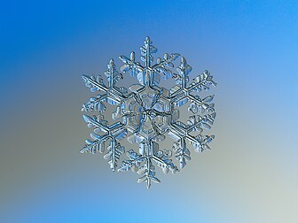 Macrophotographie d'un flocon de neige. (définition réelle 2 212 × 1 659)