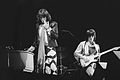 Mick Jagger and Ron Wood, concert in Zuiderpark in The Hague, 1976