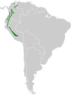 Distribución geográfica del pijuí rufo.