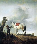 De schimmel, Wouwerman