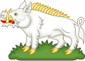 White Boar