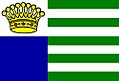 Bandeira de Condado