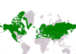 Distribución de Corvus corax