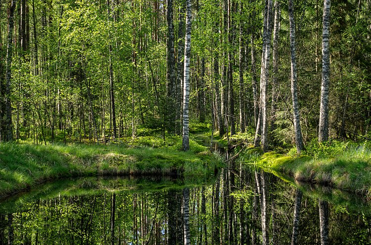 Национальный парк Мустоя. Пылвамаа, Эстония