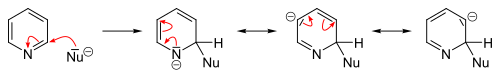 Sustitución Nucleófila en la posición 2-.