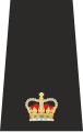 United Kingdom Police