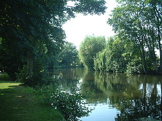 Another photo of the Wensum.