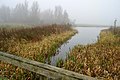 Oude meander Hunze in Duunsche Landen