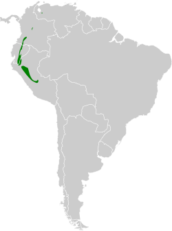 Distribución geográfica de la tangara orejinaranja.