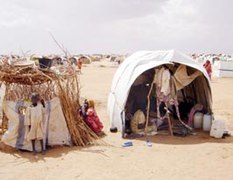 Darfur report - Page 1 Image 2.jpg