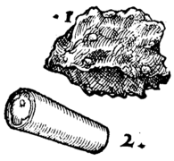 De rerum fossilium-034v-2.png