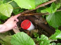 Una cache nascosta in un bosco