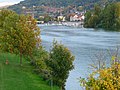 Blick auf Neckar und Schloss von der Ernst-Walz-Brücke