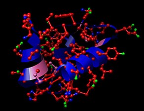 Insulino ruĝe=karbono, verde=oksigeno, blue=nitrogeno, roze=sulfuro