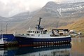 Die heutige Post- und Personenfähre Ritan (Dreizehenmöwe) im Hafen von Hvannasund.