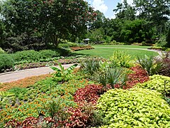 Mercer Botanic Gardens.jpg