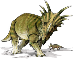 Mākslinieka skatījums uz to, kāds varētu izskatīties stirakozaurs