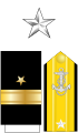 美國海軍准將肩章及袖章
