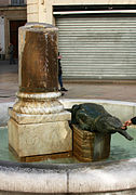 La fontaine au crocodile.