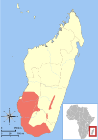 Distribución de L. catta [2]​