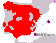 image de l'aire de répartition du lièvre ibérique.