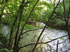 Einmündung der Schwarzen Lacke in den Schwabinger Bach