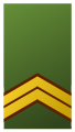 Exército dos Países Baixos: Sergeant-majoor